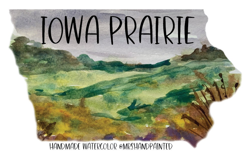 Handmade Watercolor Paints - PRAIRIE DROPSEED - Artisan Paint Palette, Half Pans Matte Watercolor, Yellow Green Shade