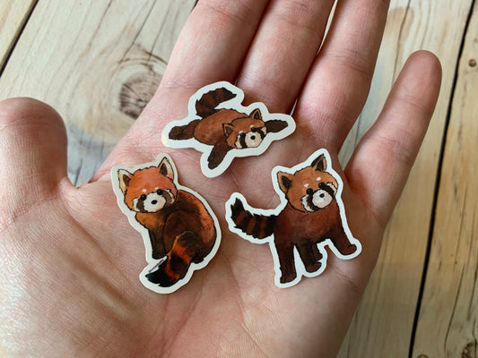 3 pc Red Panda Watercolor Vinyl Stickers