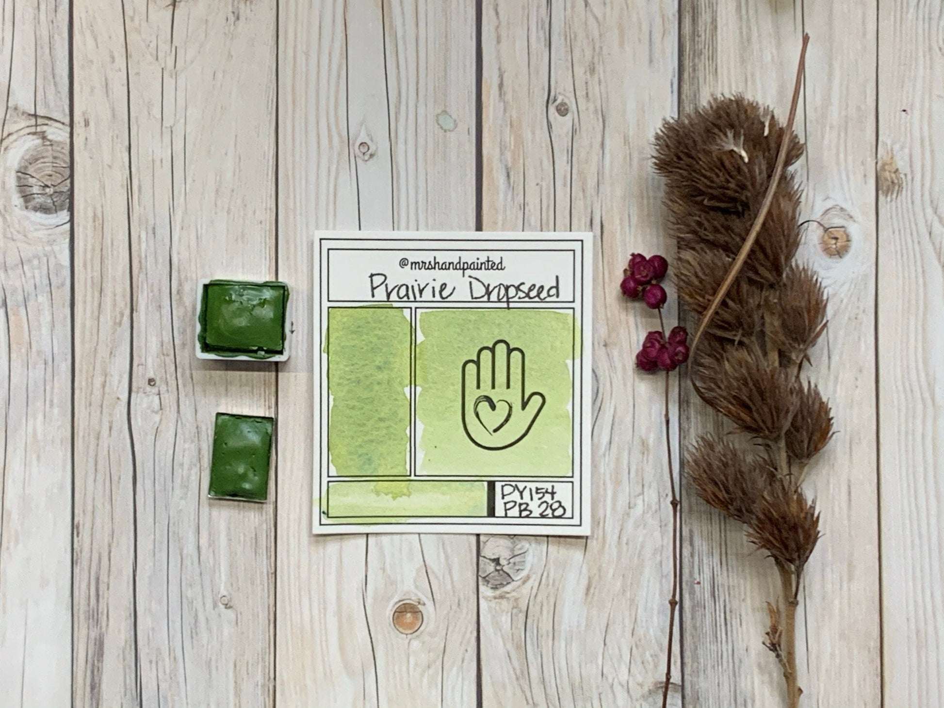 Handmade Watercolor Paints - PRAIRIE DROPSEED - Artisan Paint Palette, Half Pans Matte Watercolor, Yellow Green Shade