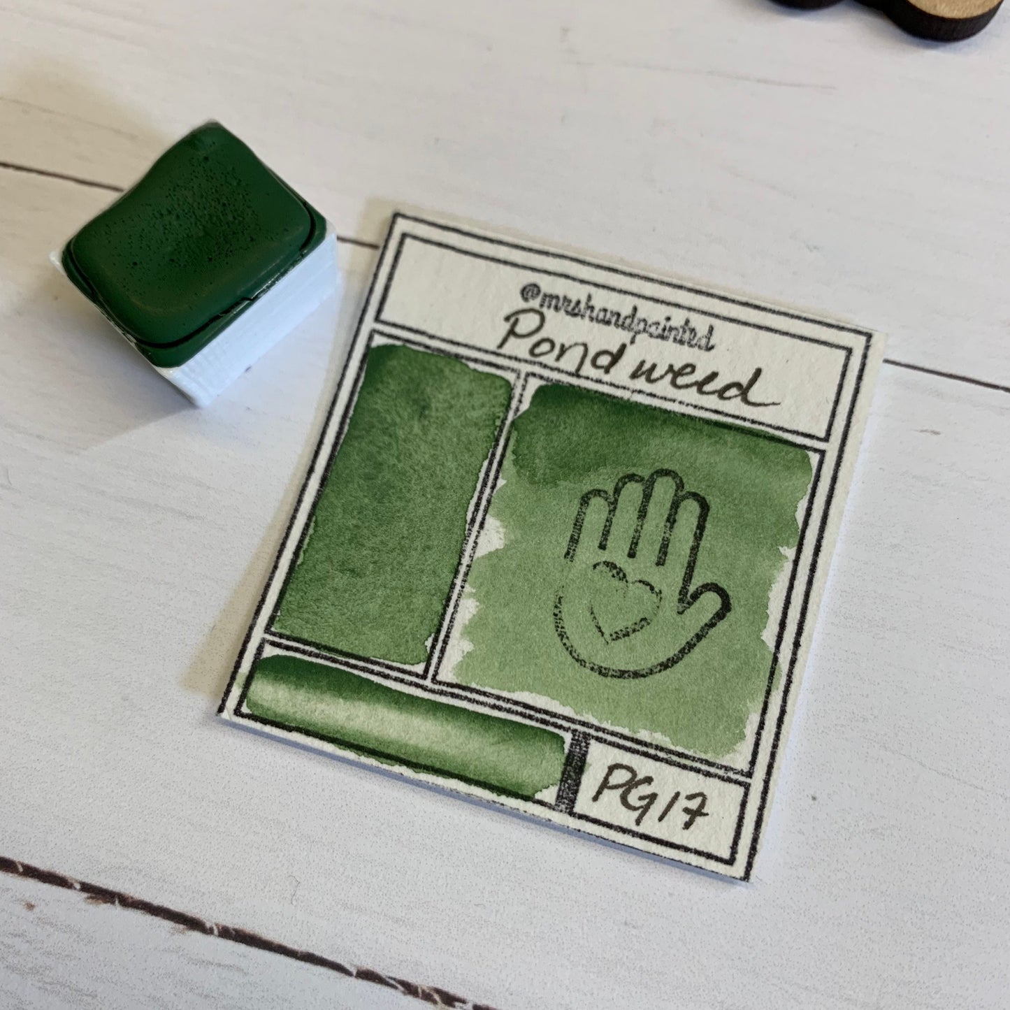 Handmade Watercolor Paints - PONDWEED