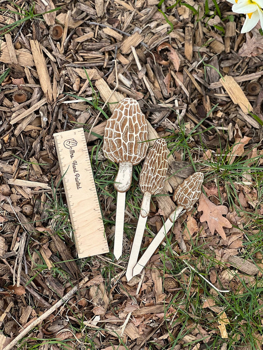 Morel Mushroom Laser Engraved Wood Garden Plant Stake Decor Set of 3