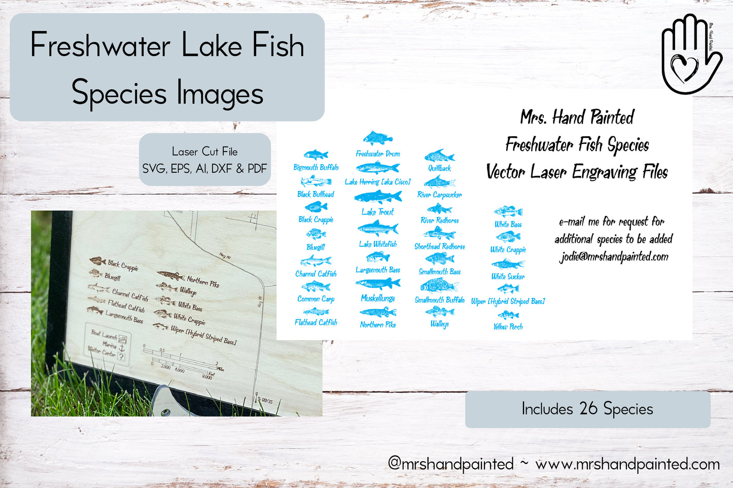 Digital Laser Engrave File - Freshwater Fish Species