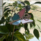 Butterfly Key Stained Glass Garden Stake