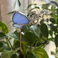 Butterfly Key Stained Glass Garden Stake