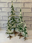 Snowy Trees