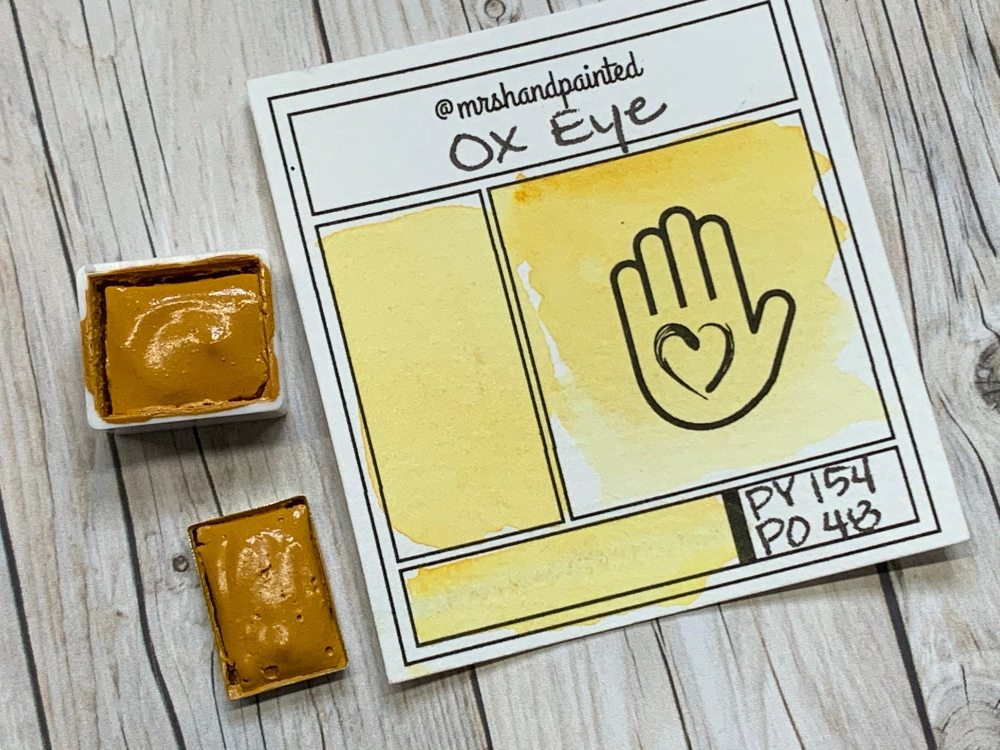 Handmade Watercolor Paints - OX EYE