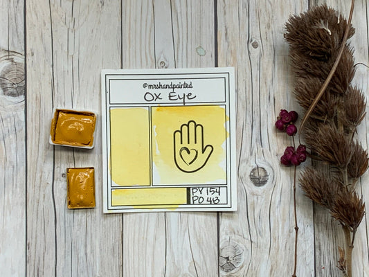 Handmade Watercolor Paints - OX EYE
