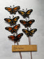 Monarch Butterfly Stained Glass Garden Stake