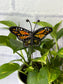 Monarch Butterfly Stained Glass Garden Stake