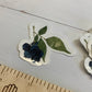Watercolor Blueberries Die Cut Laminated Vinyl Sticker