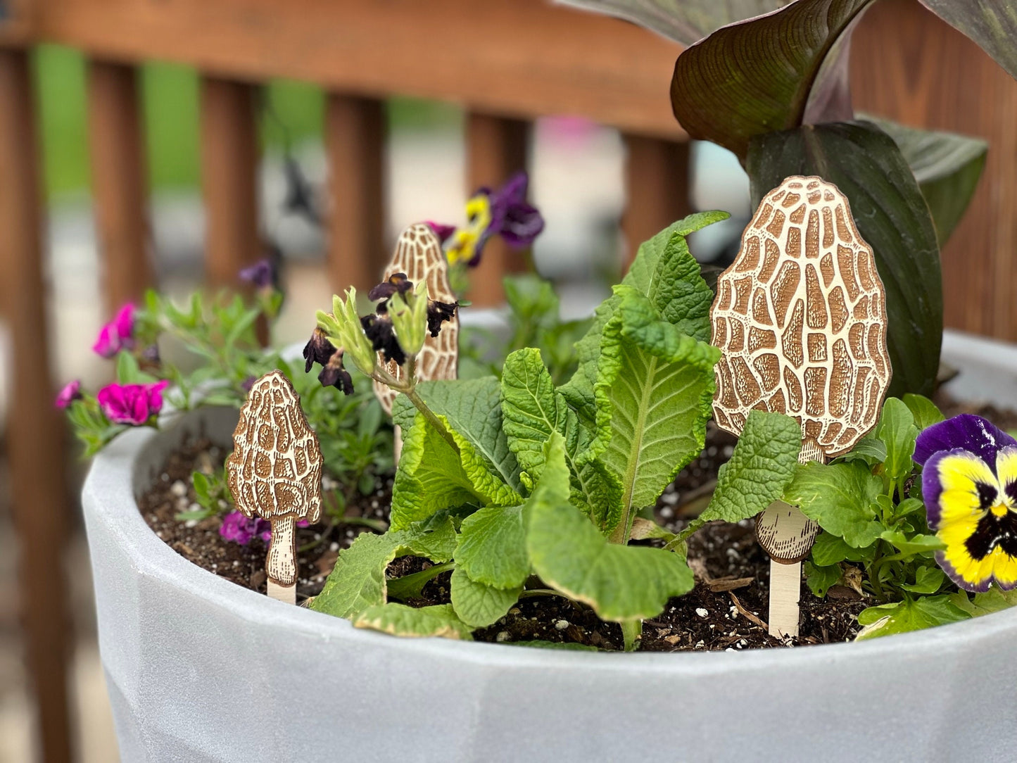 Morel Mushroom Laser Engraved Wood Garden Plant Stake Decor Set of 3