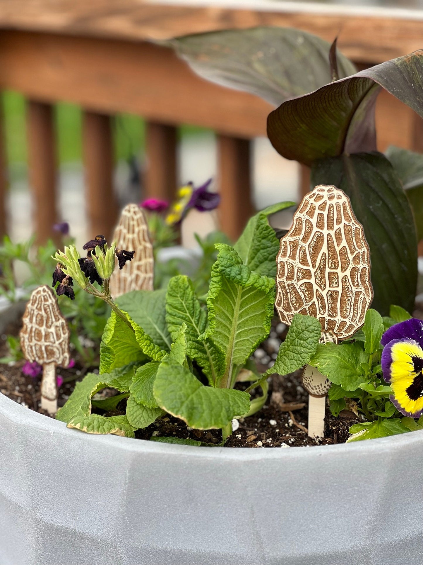 Morel Mushroom Laser Engraved Wood Garden Plant Stake Decor Set of 3