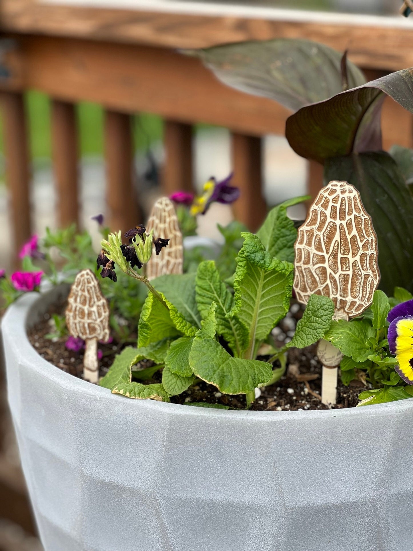 Morel Mushroom Laser Engraved Wood Garden Plant Stake Decor Set of 3