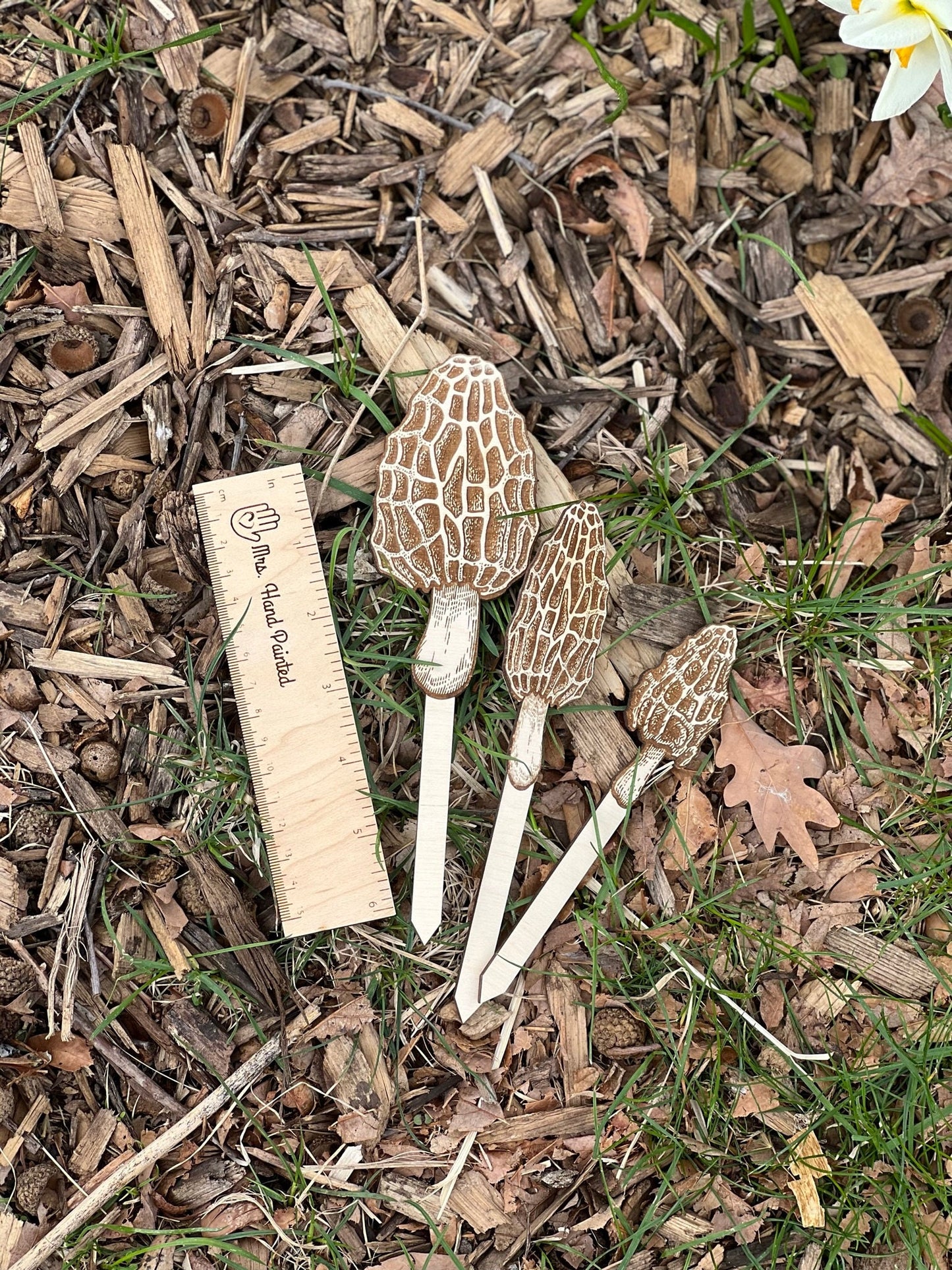 Morel Mushroom Laser Engraved Wood Garden Plant Stake Decor Set of 3